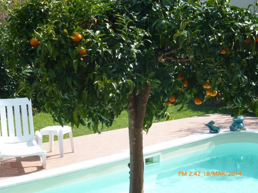 Casal Da Corticada Guest House Serta Luaran gambar